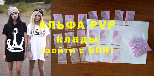 ПСИЛОЦИБИНОВЫЕ ГРИБЫ Струнино