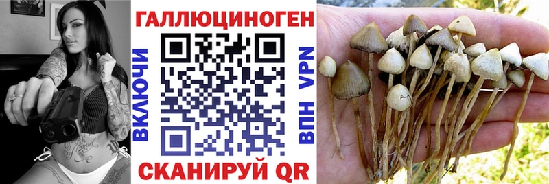 площадка формула  Дзержинский  Галлюциногенные грибы прущие грибы 