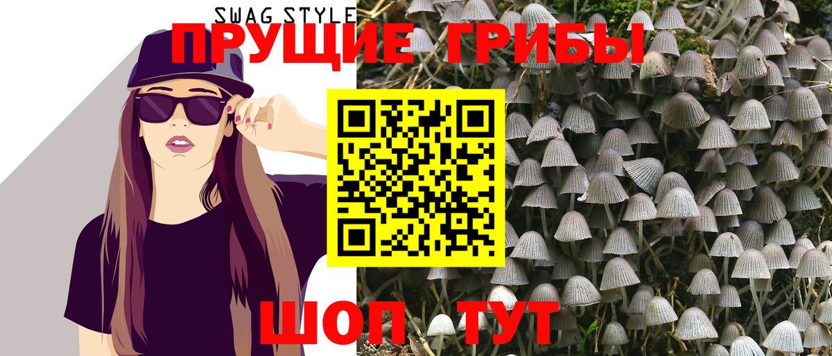 Псилоцибиновые грибы GOLDEN TEACHER  Дзержинский 