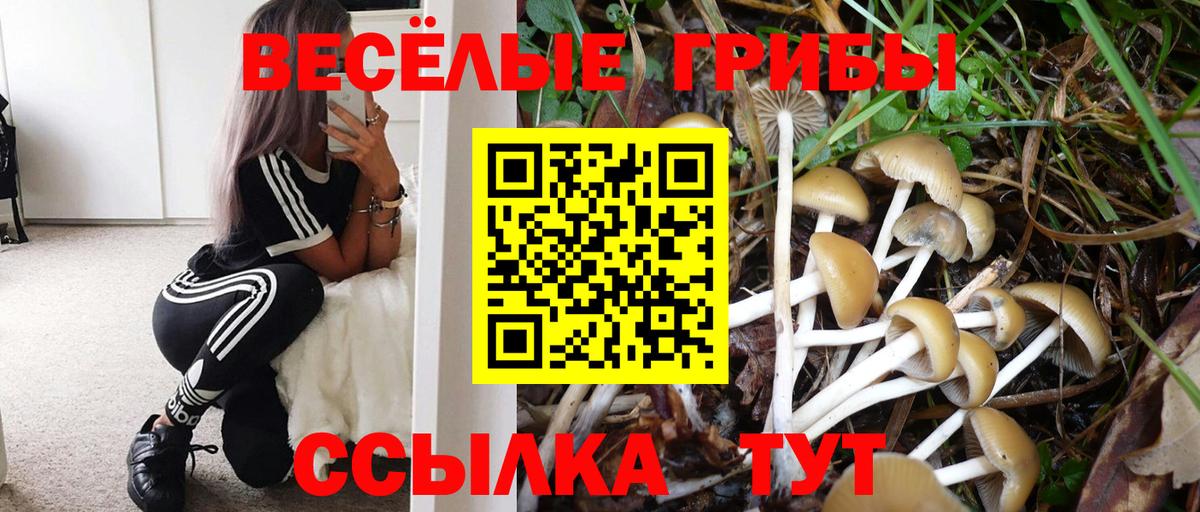 Псилоцибиновые грибы MAGIC MUSHROOMS Дзержинский