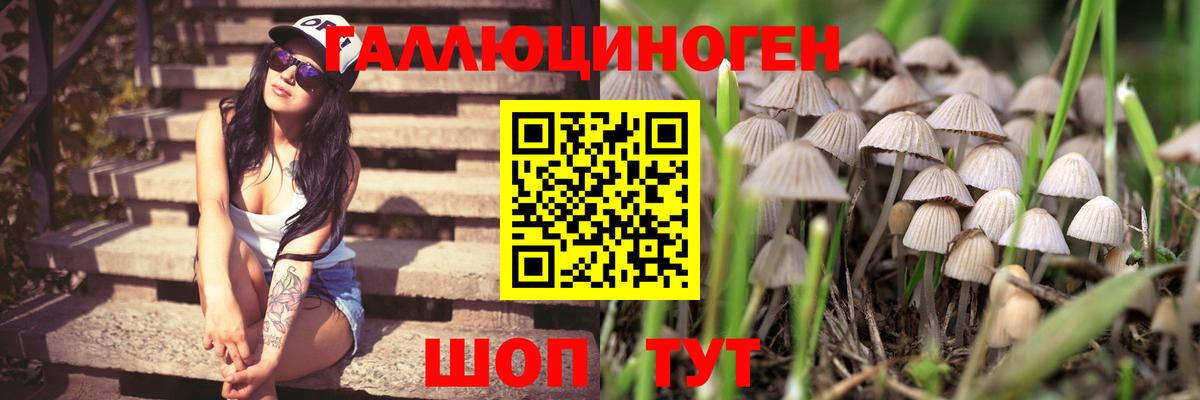 Дзержинский  Галлюциногенные грибы мухоморы  дарнет шоп  Вход с VPN 